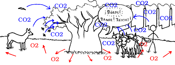 [Illustration: CO2-&Uuml;berschuss]